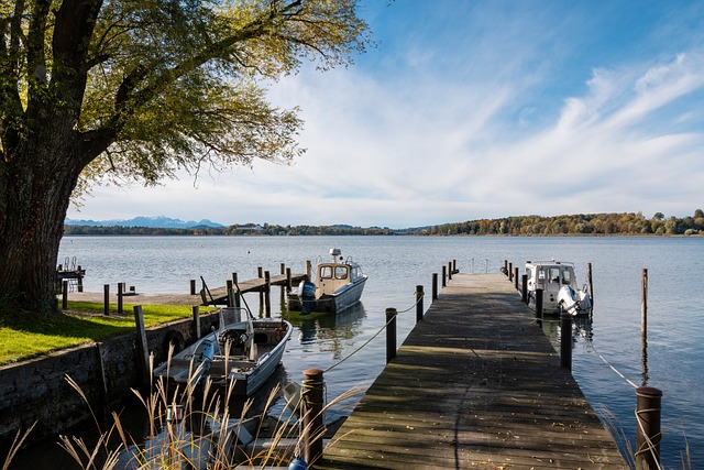 本土球员仅 本土球员仅