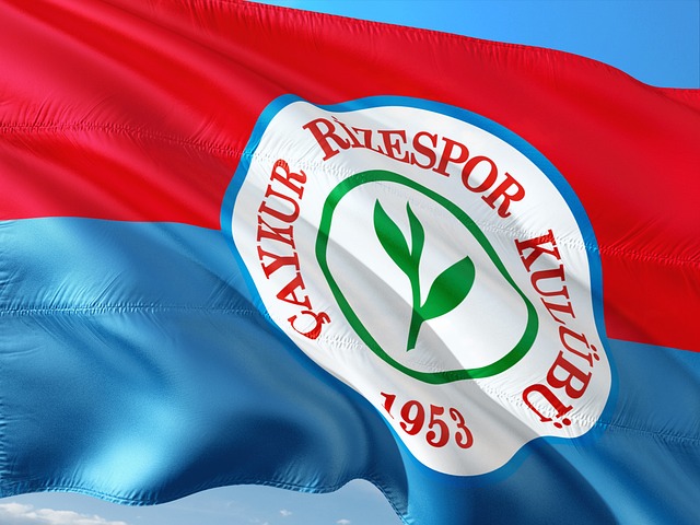 亚的潜在新 亚的潜在新