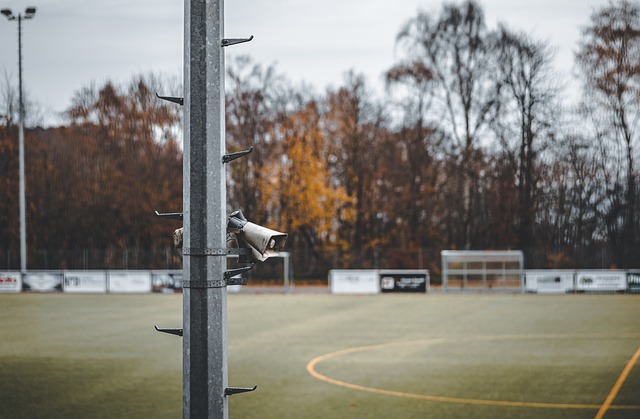 他们在积分 他们在积分