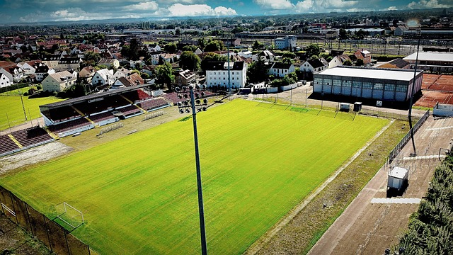 造新就业机 造新就业机