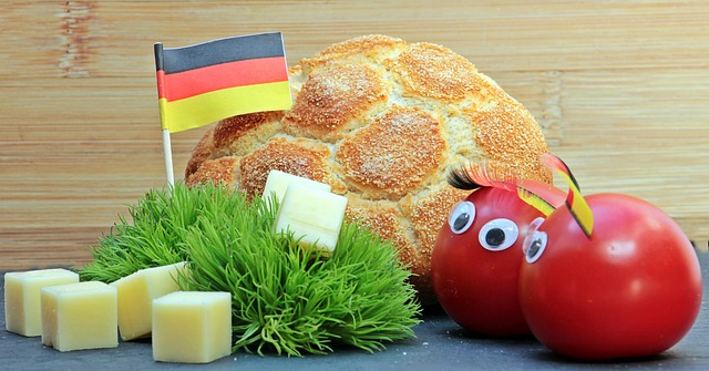 亚冬会的举 亚冬会的举