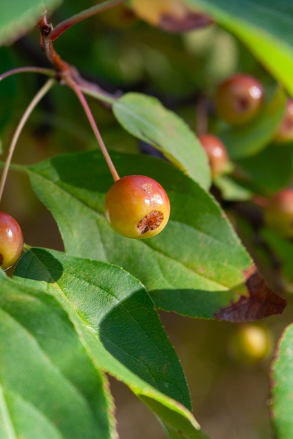 从队长到终 从队长到终
