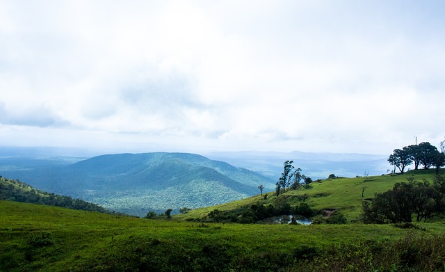 更多的机会 更多的机会