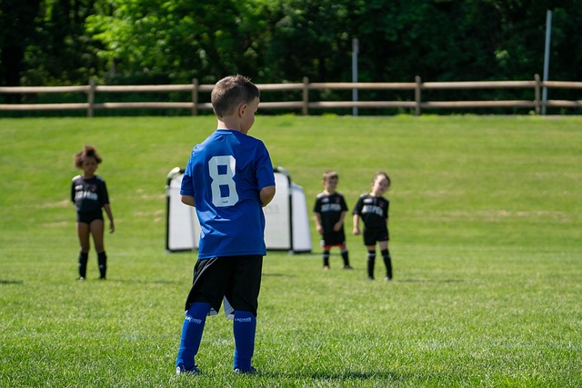 总的来说 总的来说