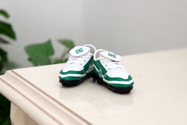 刘氏家族的 刘氏家族的