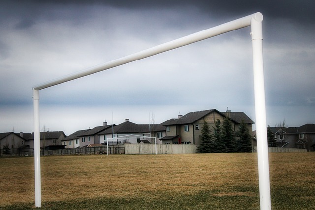 府发展文化 府发展文化