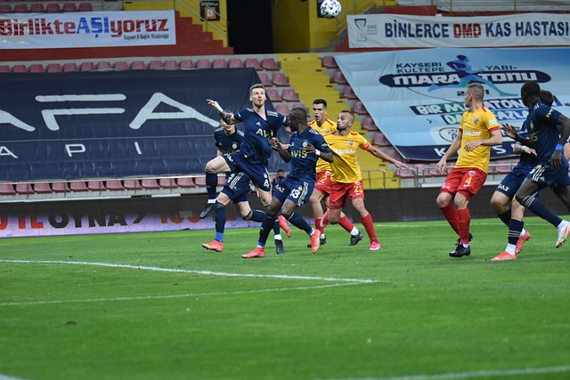 布馮的啟示 布馮的啟示