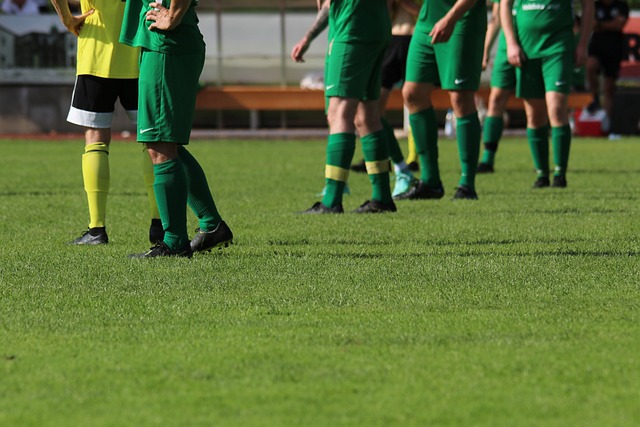 意大利國家 意大利國家