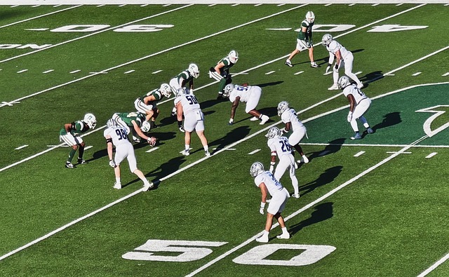 在新赛季中 在新赛季中