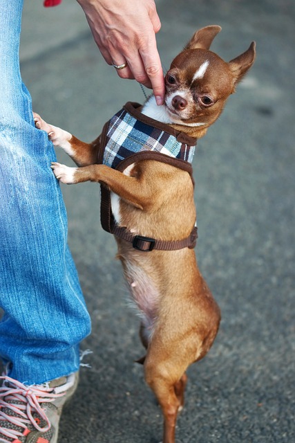 性上远不如 性上远不如